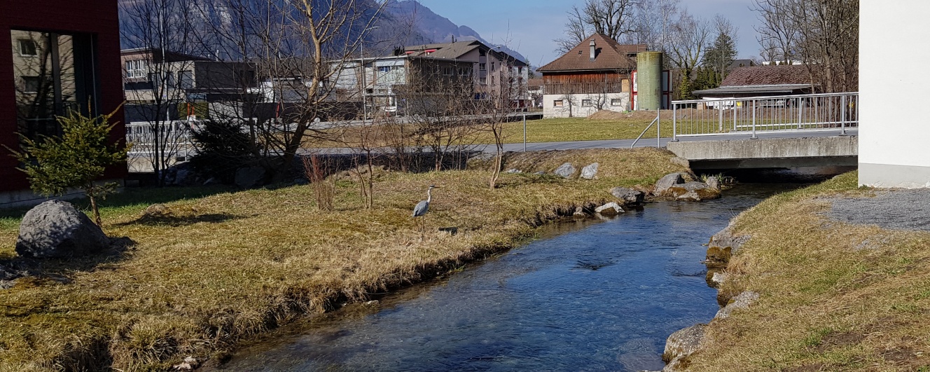 Wasserlauf in der Ebene